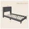 Button Tufted Upholstered Platform Bed, Twin/Full/Queen Size, Modern Design
